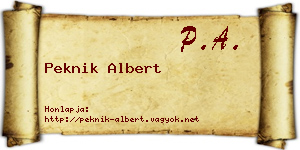 Peknik Albert névjegykártya